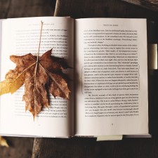 Πως να περάσεις ένα φανταστικό φθινόπωρο